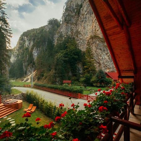 Casa Cheile Dambovicioarei - Cabana 2 Dîmbovicioara Esterno foto