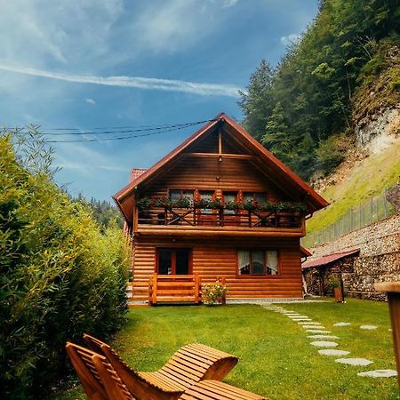 Casa Cheile Dambovicioarei - Cabana 2 Dîmbovicioara Esterno foto
