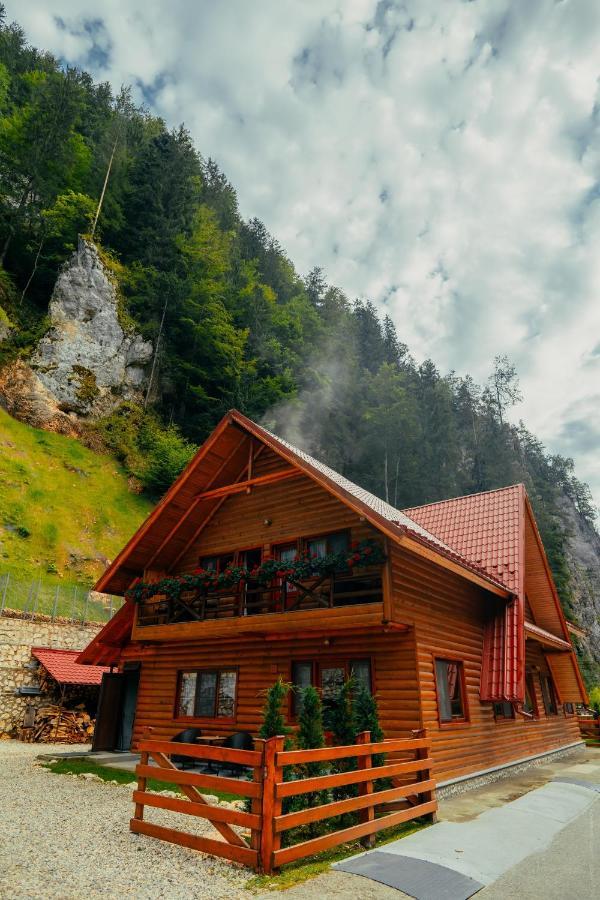 Casa Cheile Dambovicioarei - Cabana 2 Dîmbovicioara Esterno foto