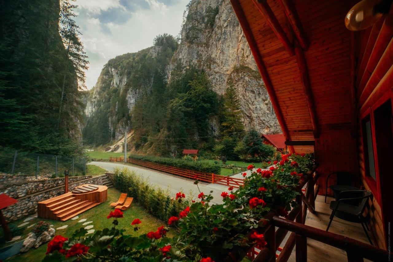 Casa Cheile Dambovicioarei - Cabana 2 Dîmbovicioara Esterno foto