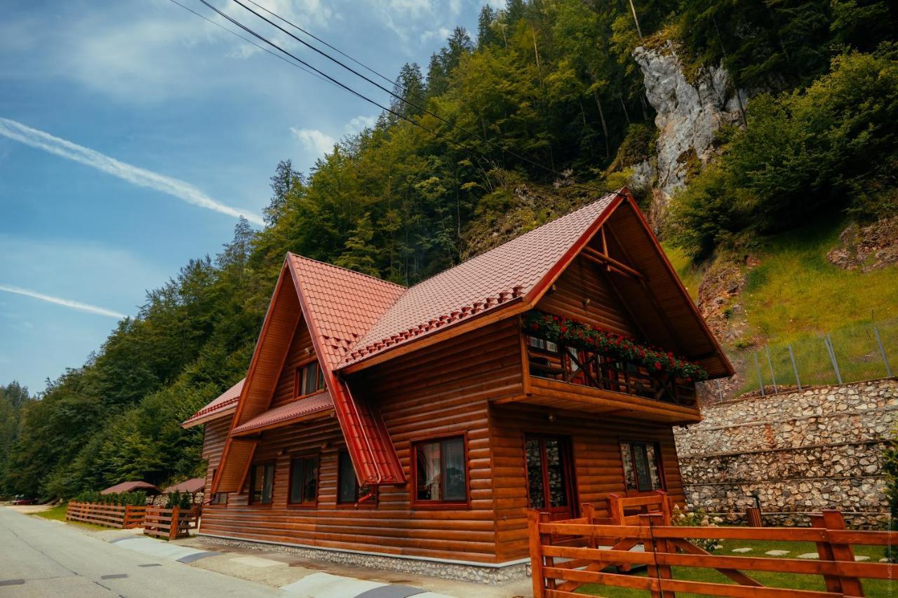 Casa Cheile Dambovicioarei - Cabana 2 Dîmbovicioara Esterno foto