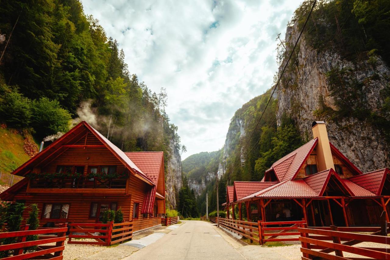 Casa Cheile Dambovicioarei - Cabana 2 Dîmbovicioara Esterno foto