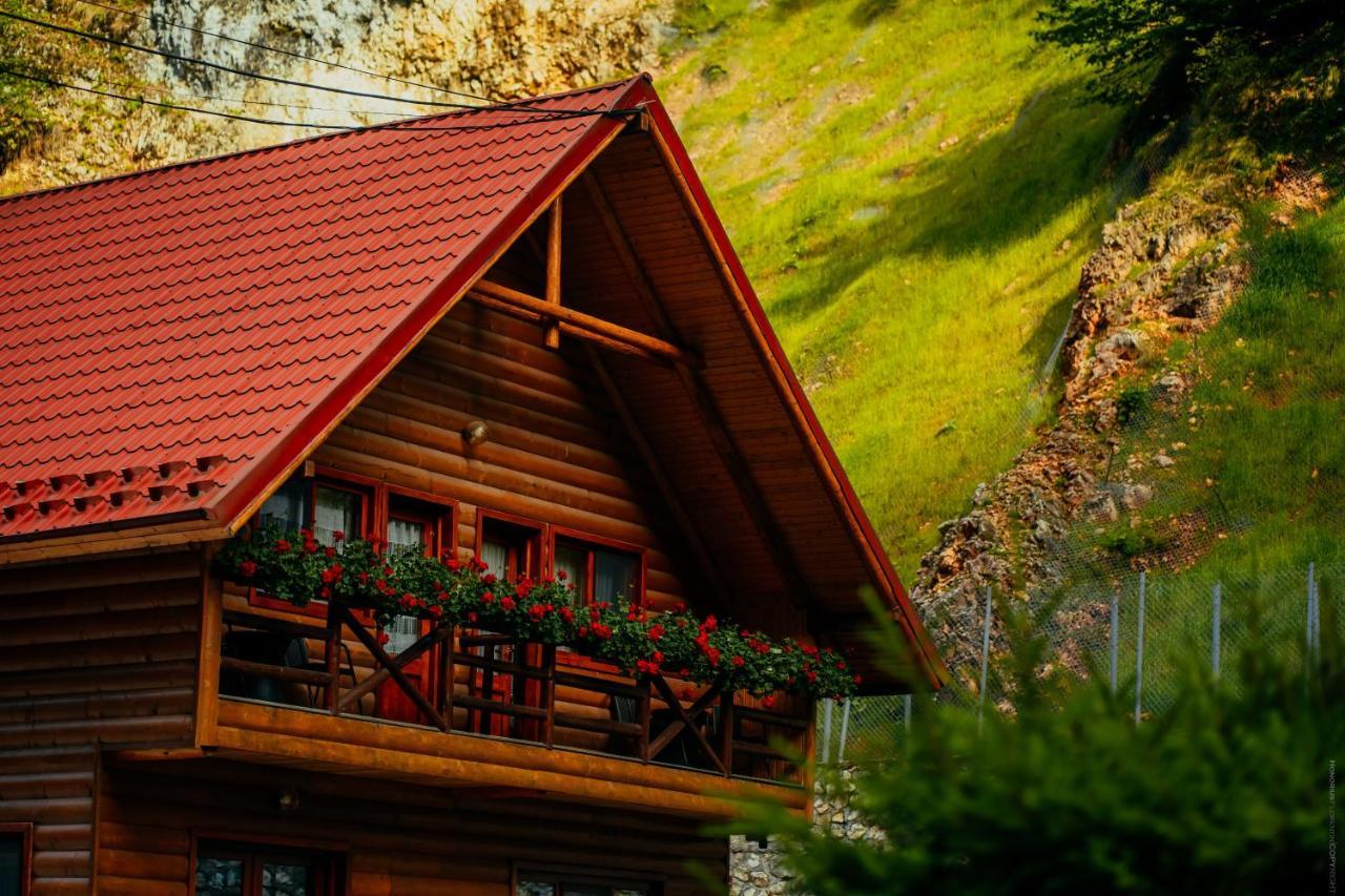 Casa Cheile Dambovicioarei - Cabana 2 Dîmbovicioara Esterno foto