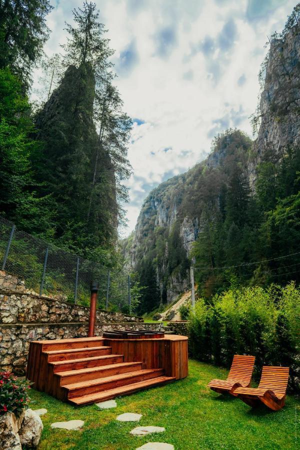 Casa Cheile Dambovicioarei - Cabana 2 Dîmbovicioara Esterno foto